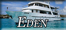 Eden button